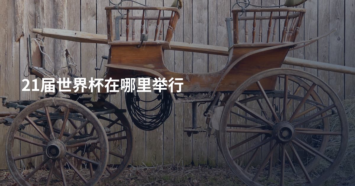 21届世界杯在哪里举行