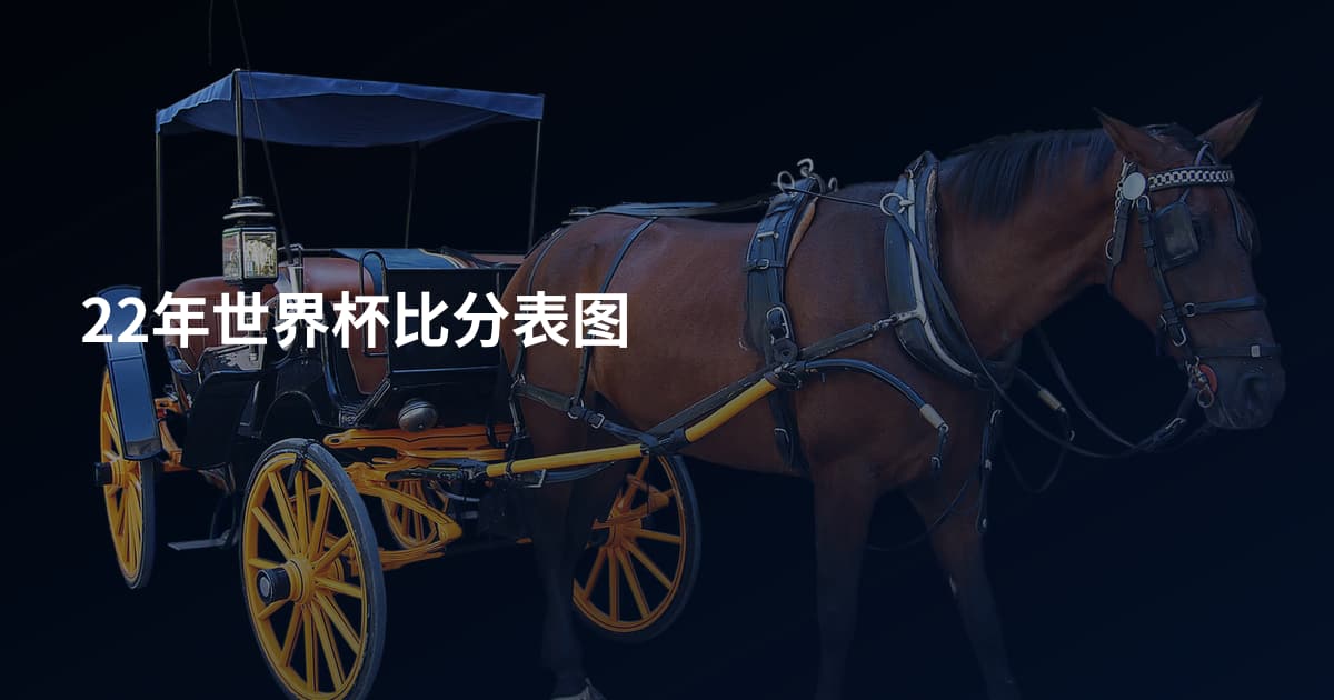 22年世界杯比分表图