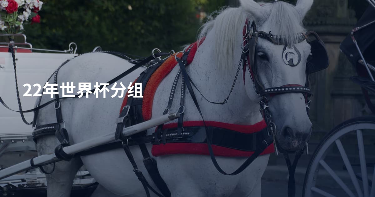 22年世界杯分组