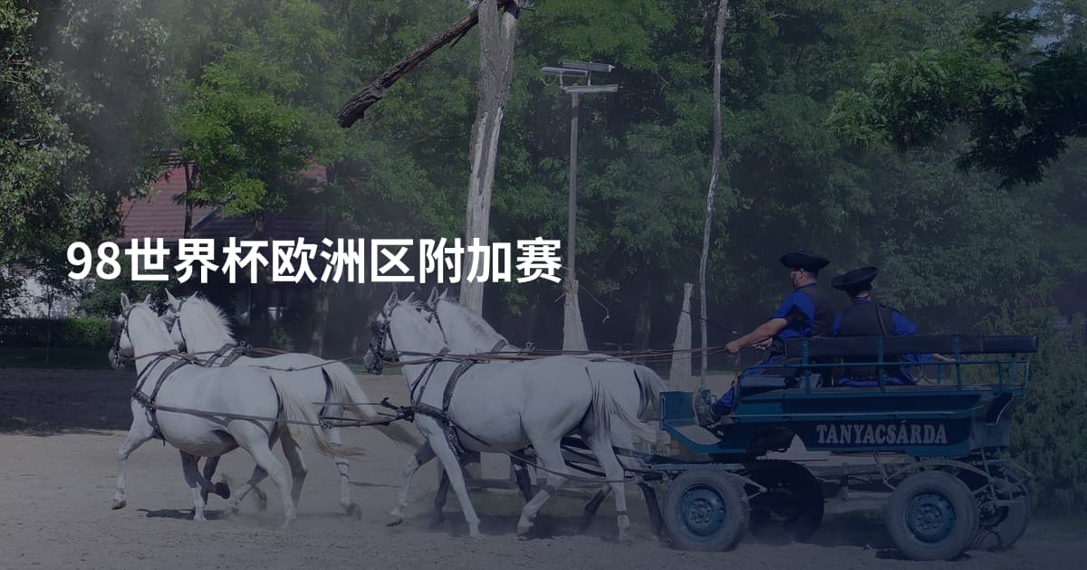 98世界杯欧洲区附加赛