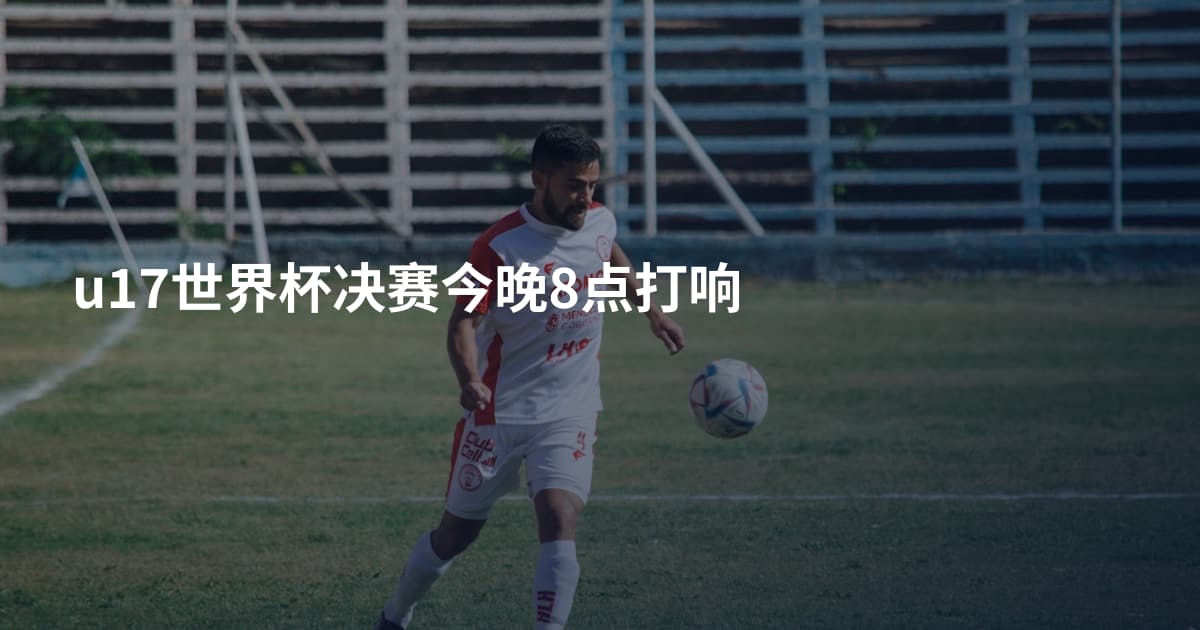 u17世界杯决赛今晚8点打响