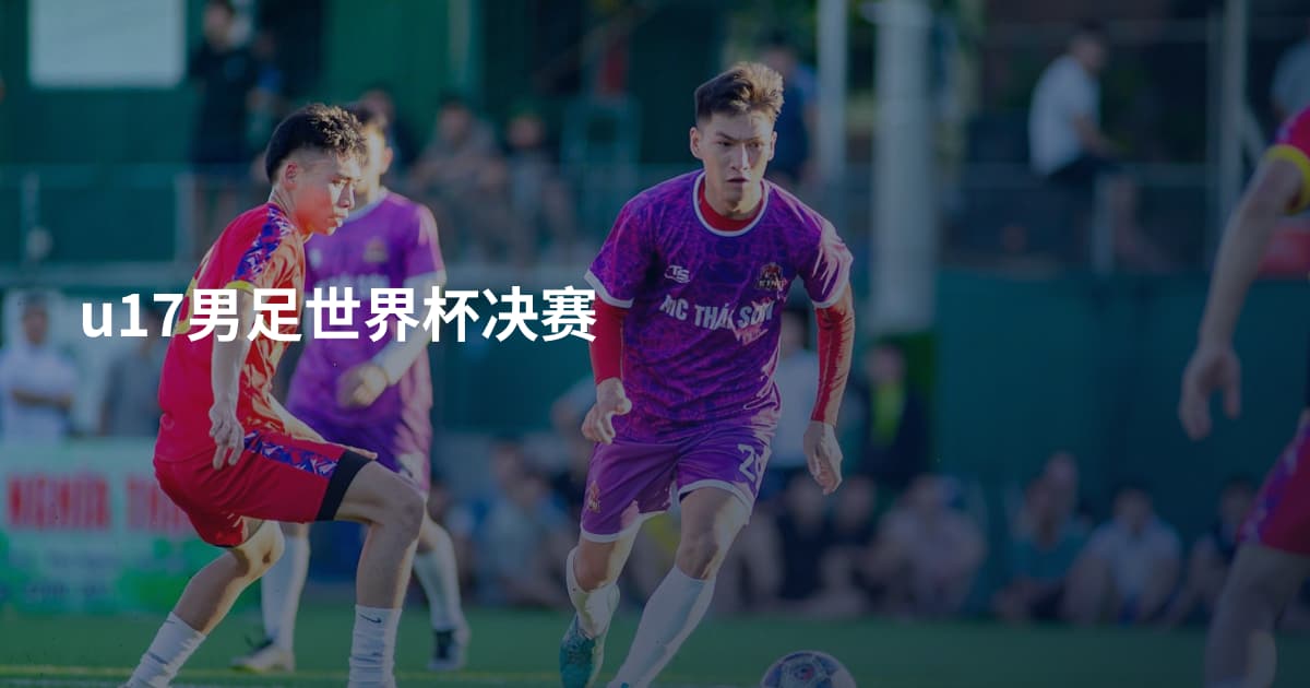 u17男足世界杯决赛