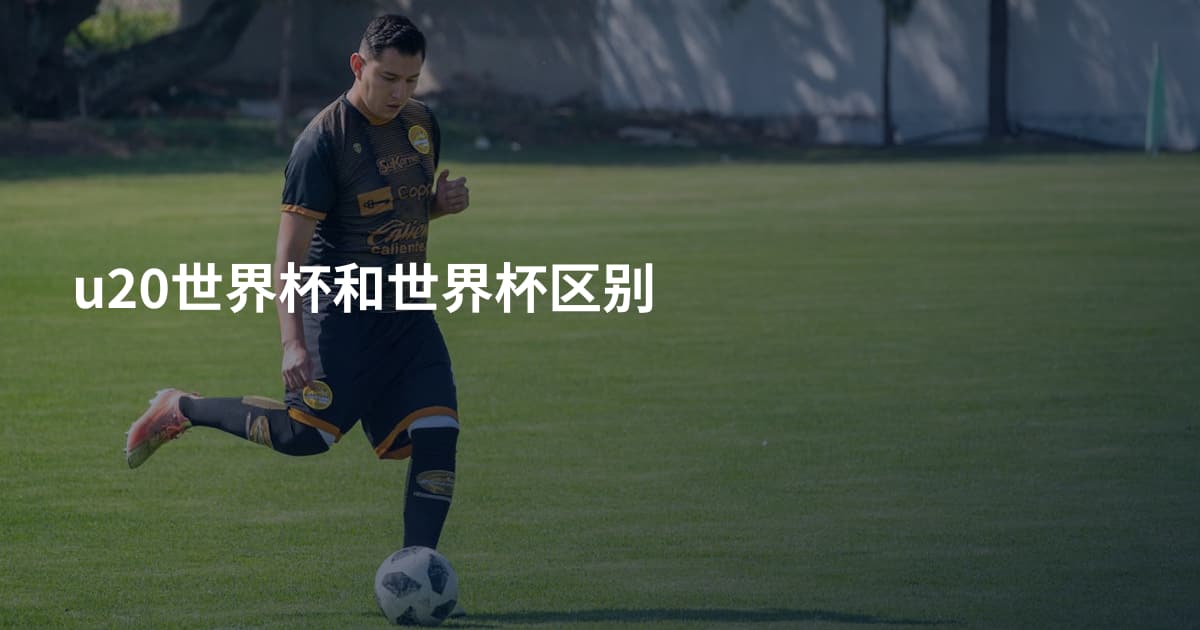 u20世界杯和世界杯区别