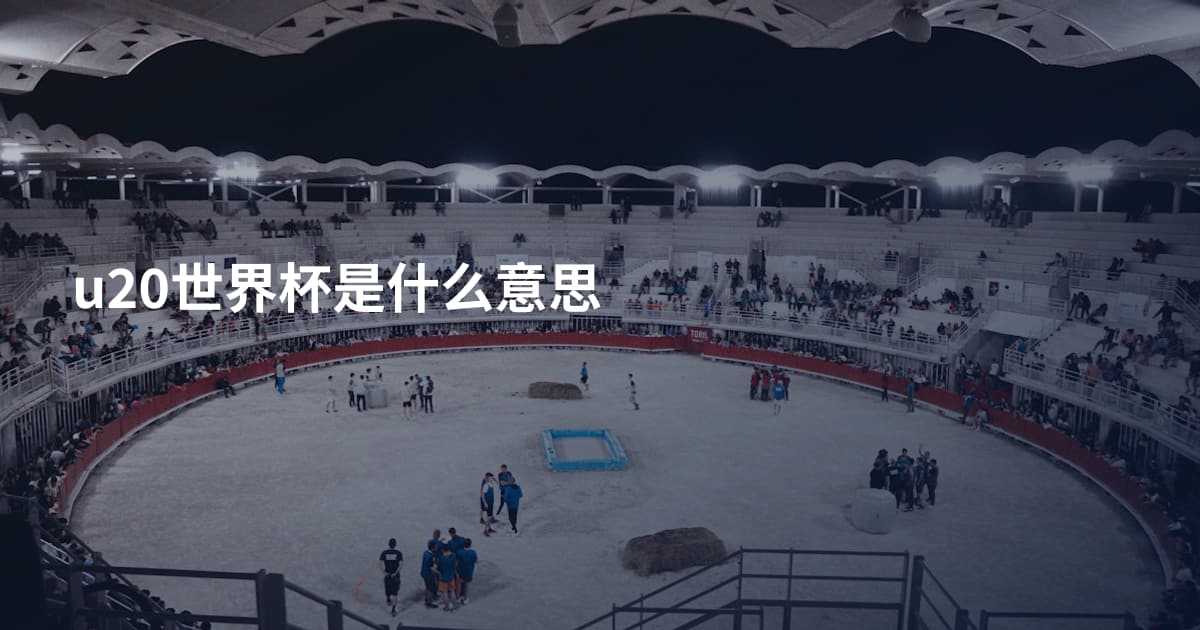 u20世界杯是什么意思