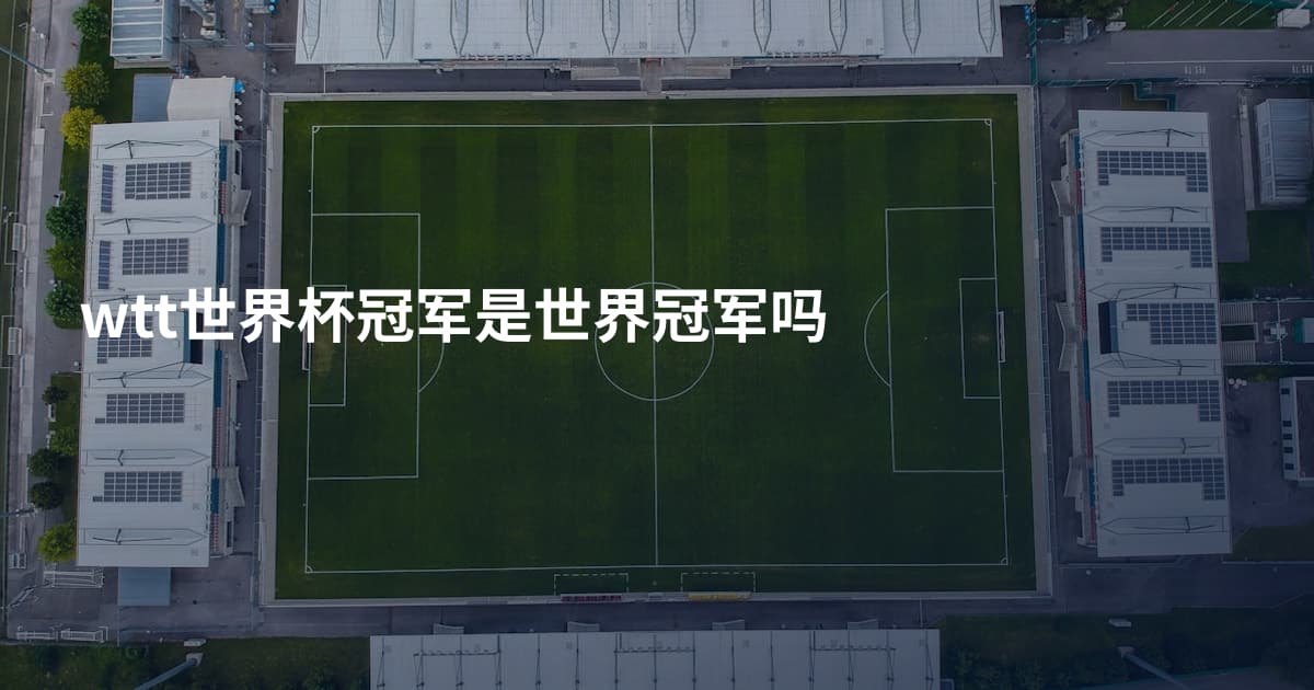 wtt世界杯冠军是世界冠军吗