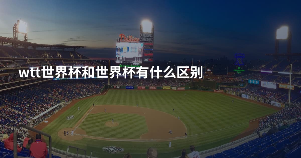 wtt世界杯和世界杯有什么区别