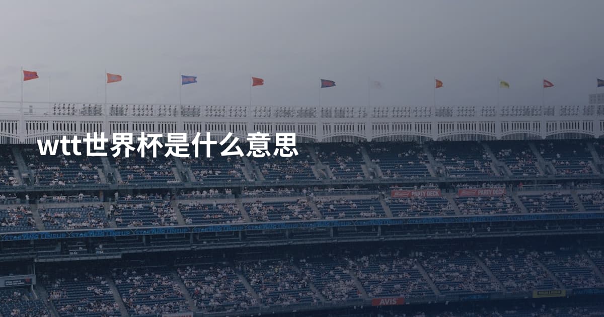 wtt世界杯是什么意思