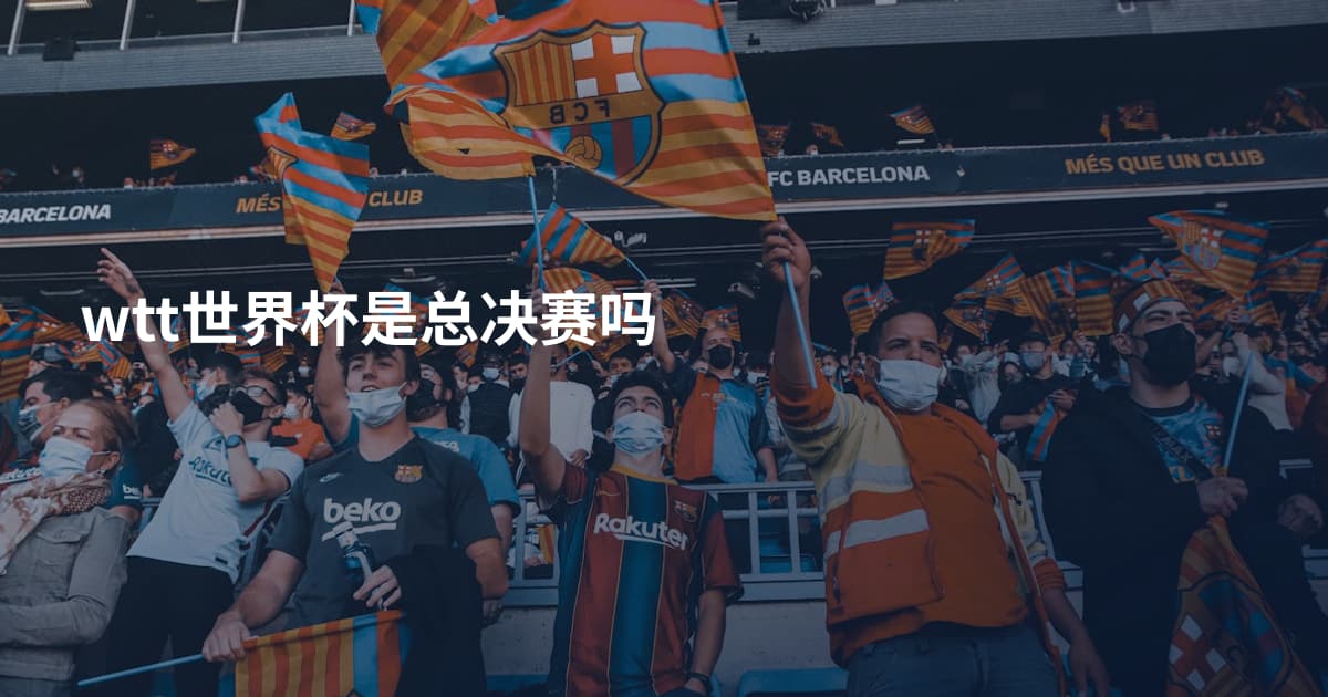 wtt世界杯是总决赛吗