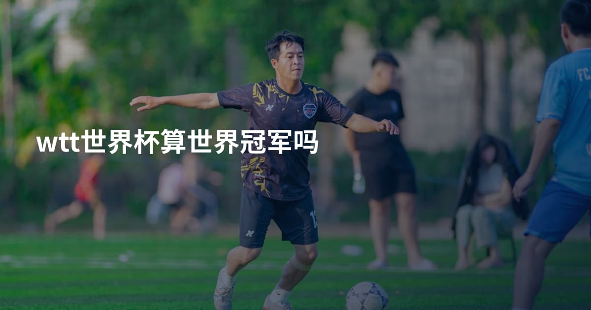 wtt世界杯算世界冠军吗