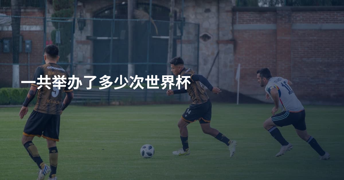 一共举办了多少次世界杯