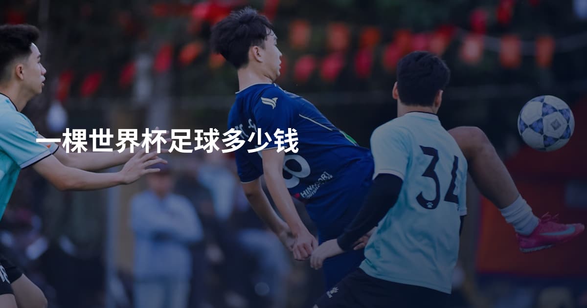 一棵世界杯足球多少钱