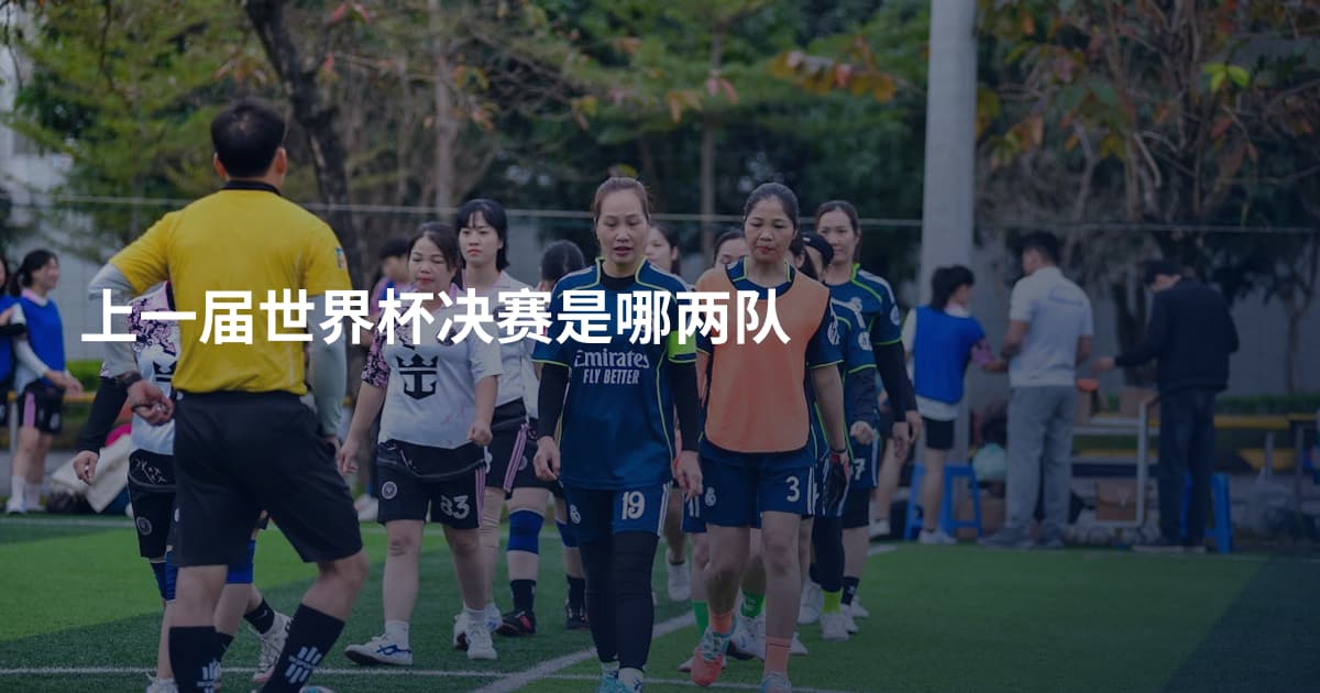 上一届世界杯决赛是哪两队
