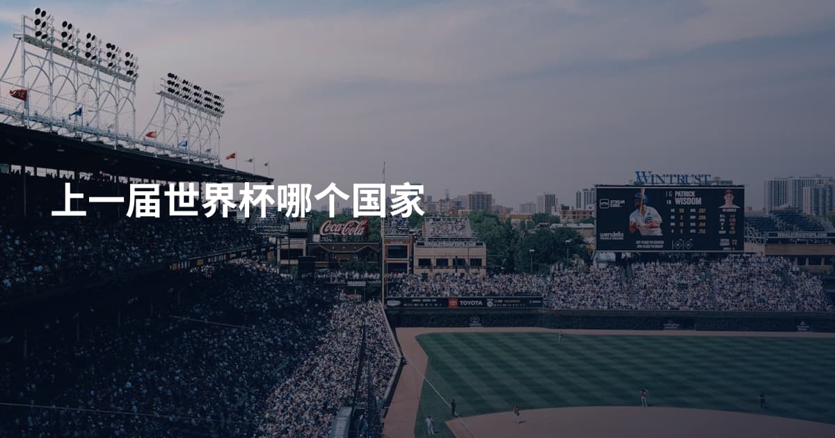 上一届世界杯哪个国家
