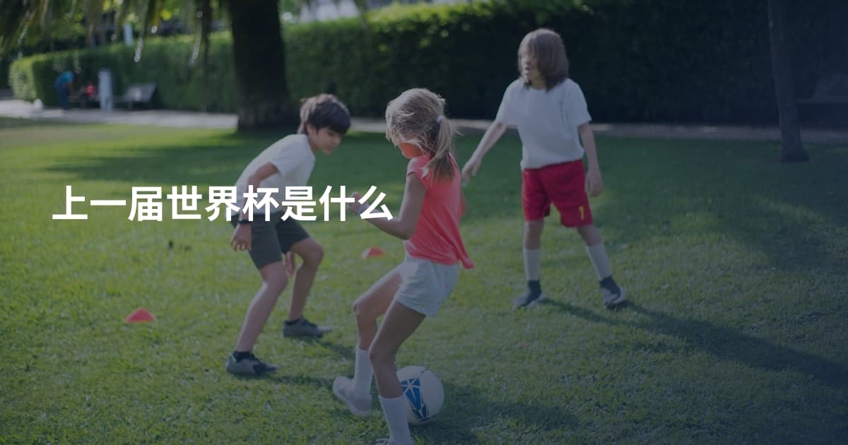 上一届世界杯是什么