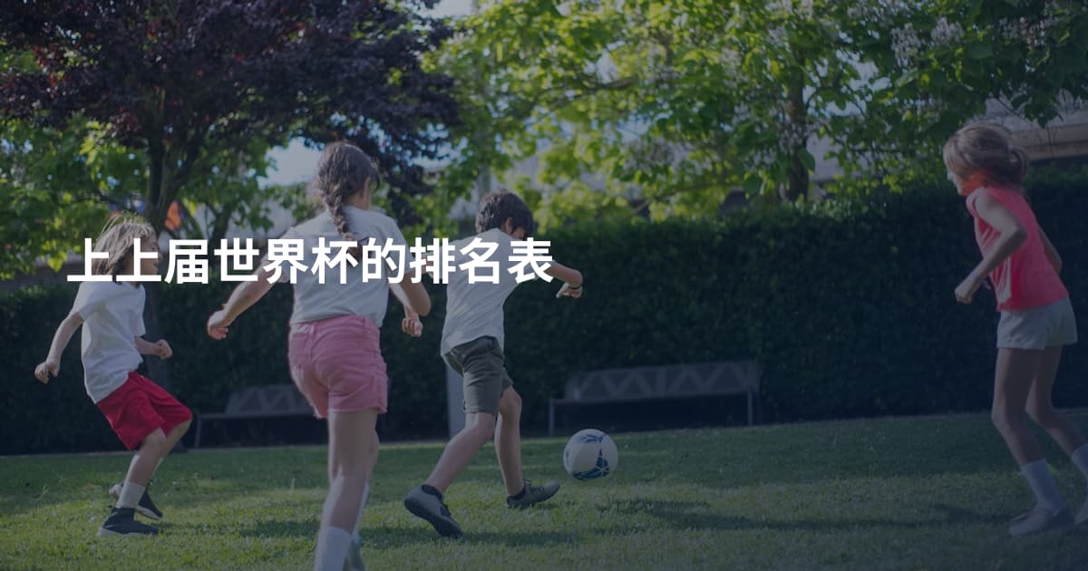 上上届世界杯的排名表