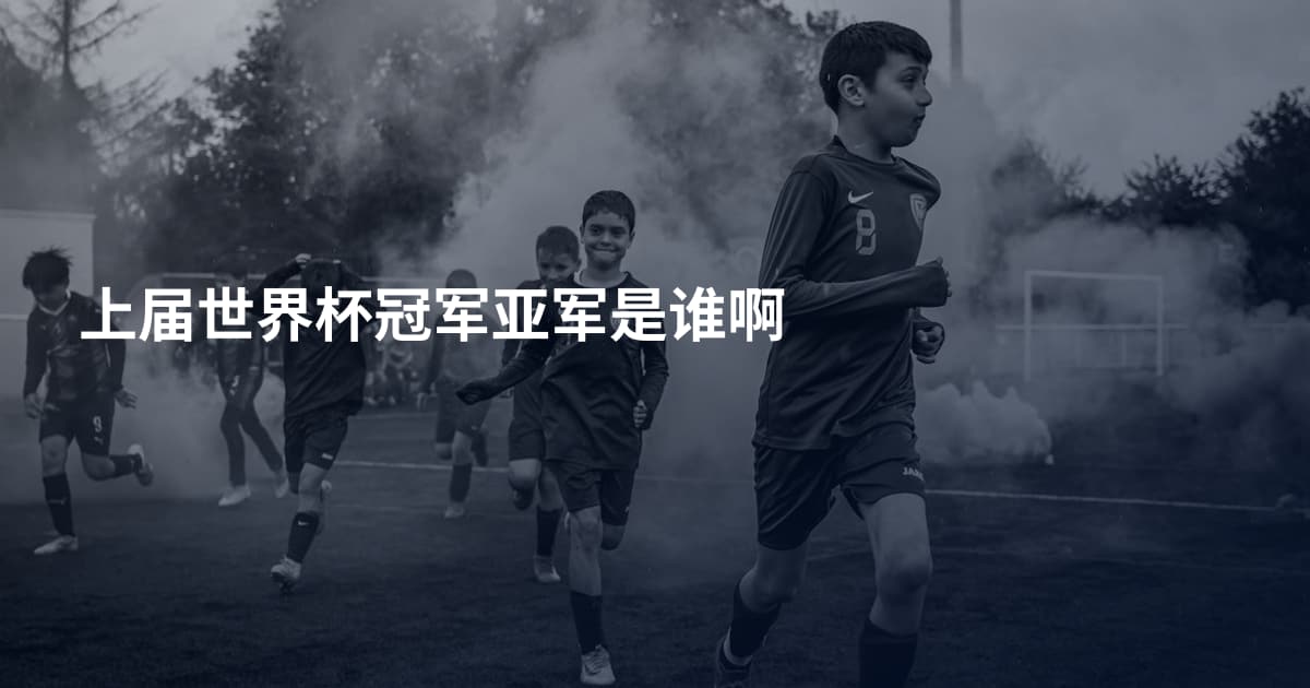 上届世界杯冠军亚军是谁啊