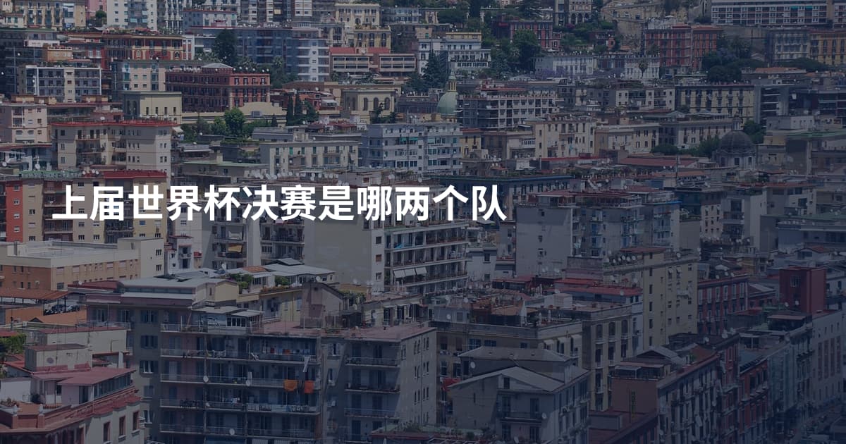 上届世界杯决赛是哪两个队