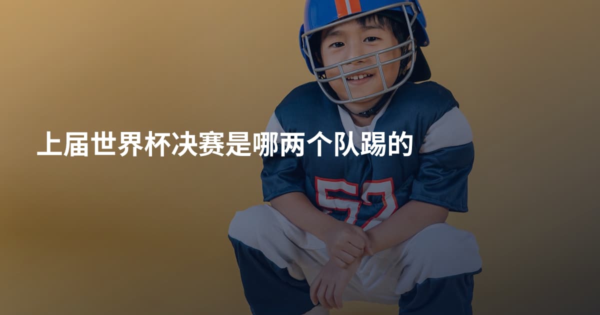 上届世界杯决赛是哪两个队踢的