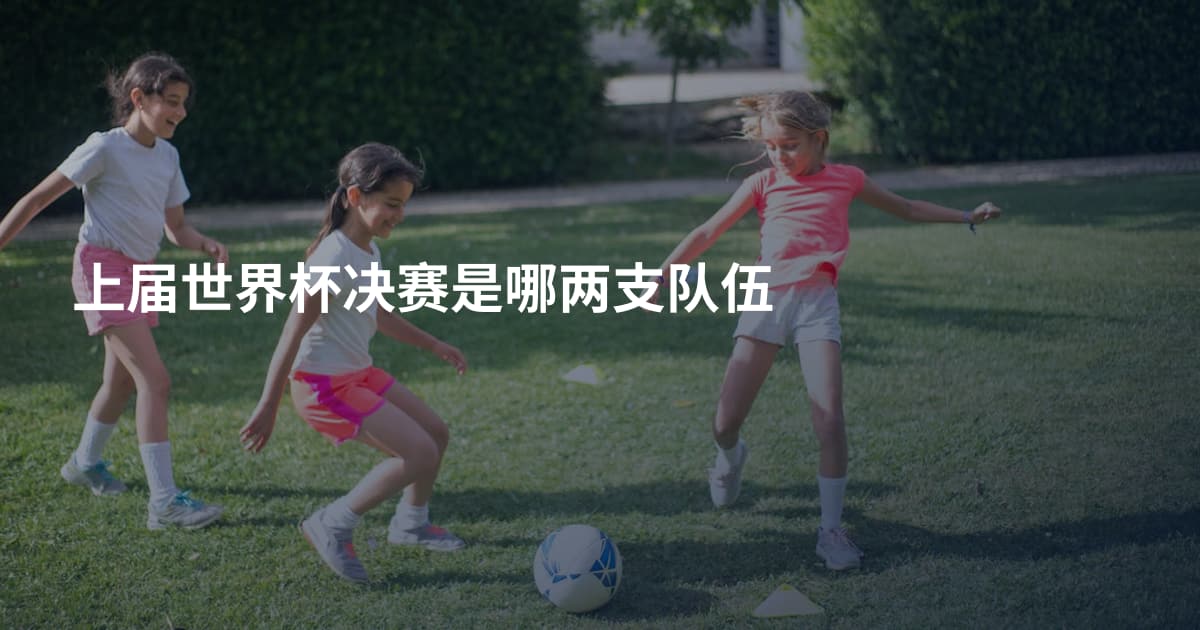上届世界杯决赛是哪两支队伍