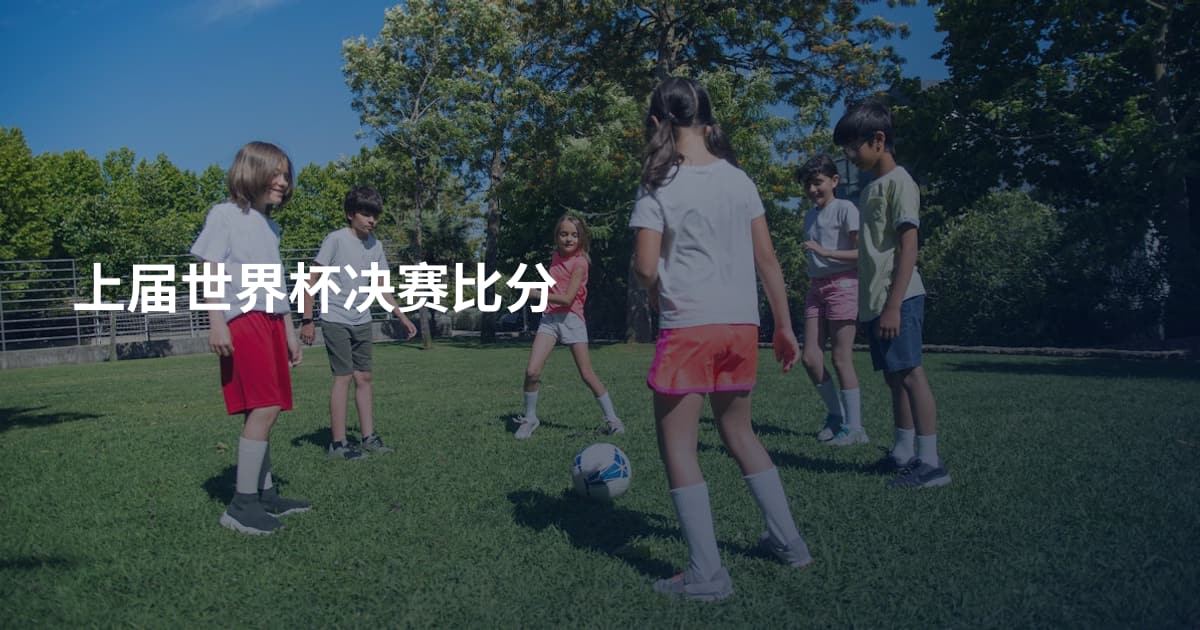 上届世界杯决赛比分