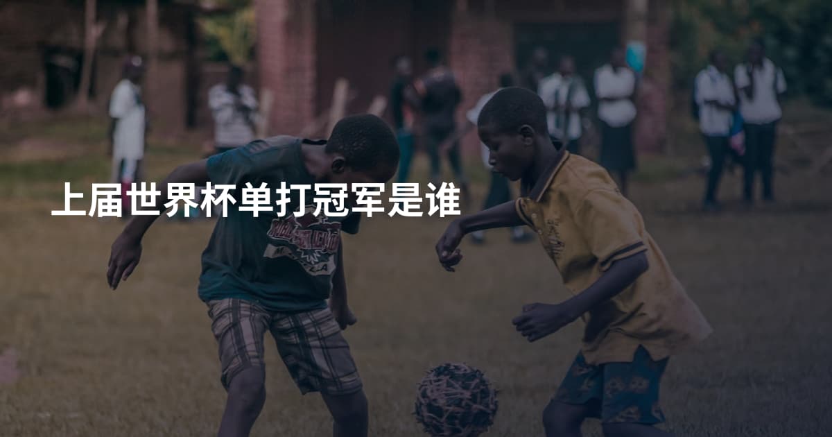 上届世界杯单打冠军是谁