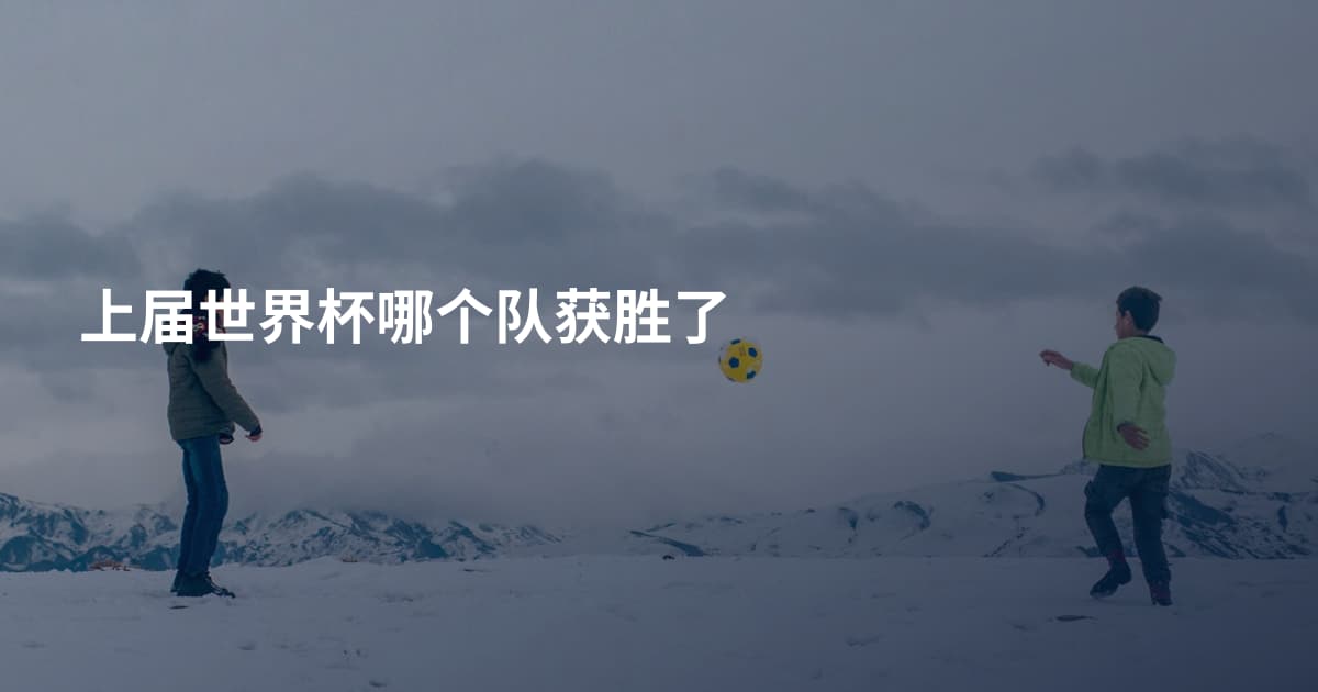 上届世界杯哪个队获胜了