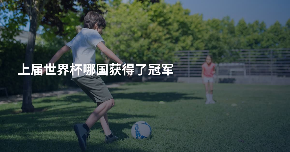 上届世界杯哪国获得了冠军