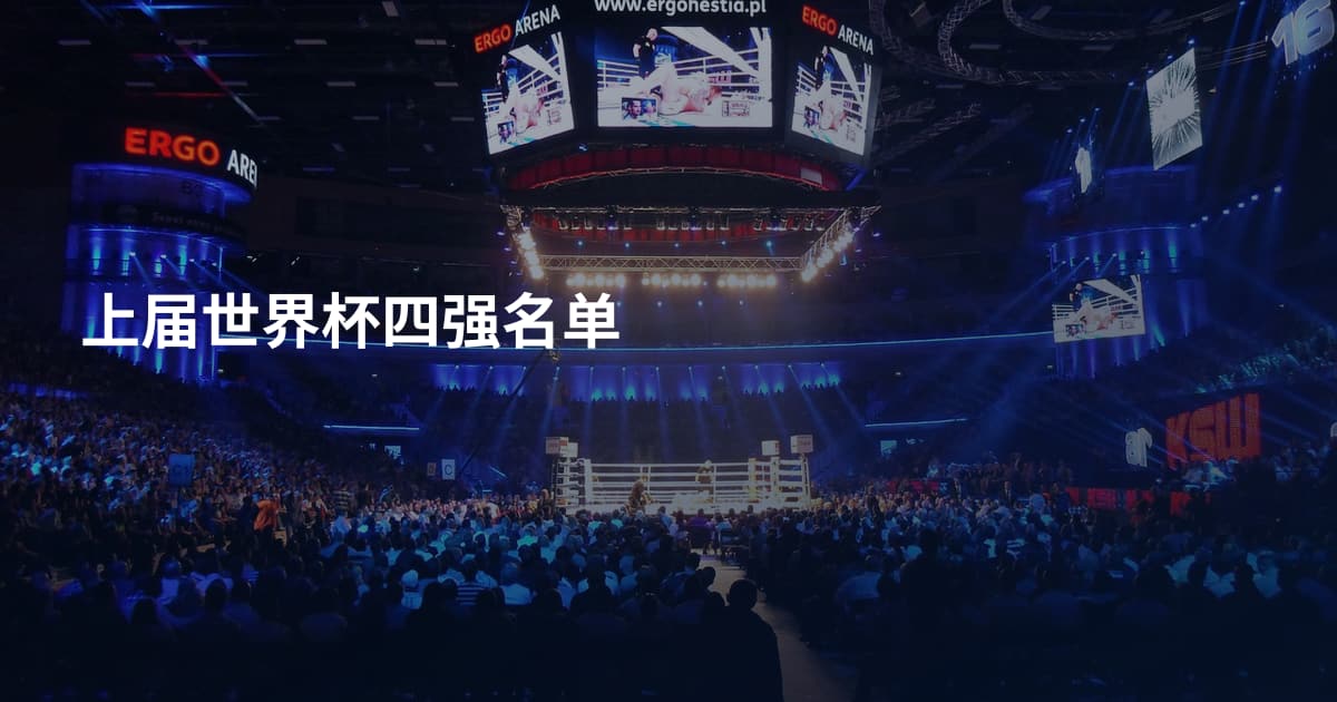 上届世界杯四强名单