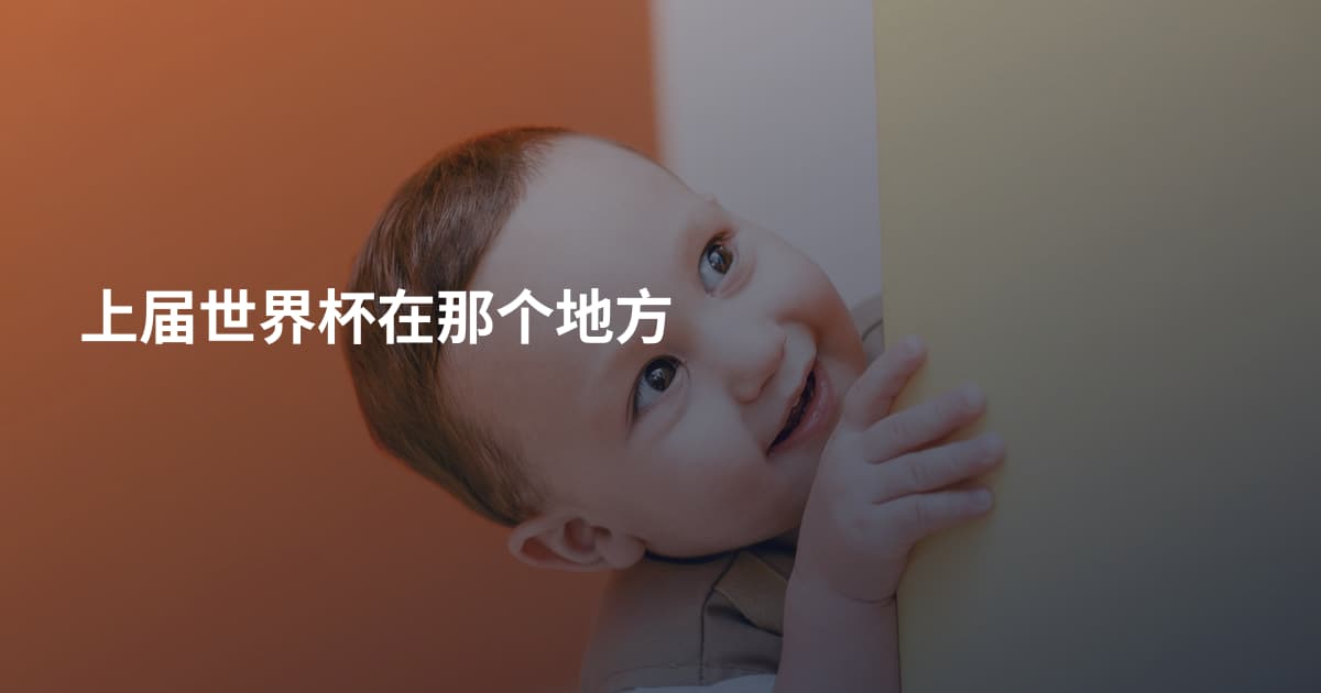上届世界杯在那个地方