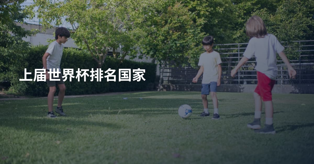 上届世界杯排名国家