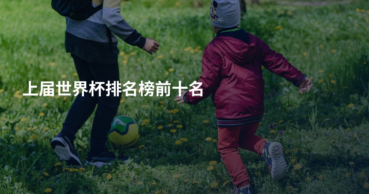 上届世界杯排名榜前十名