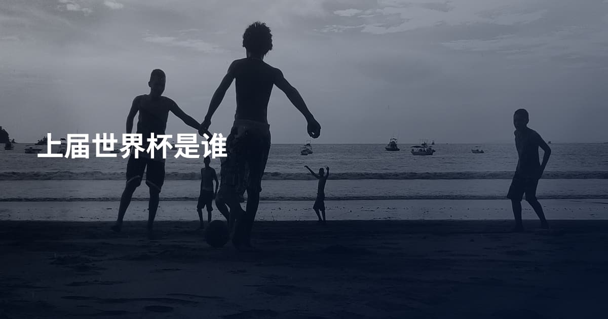 上届世界杯是谁