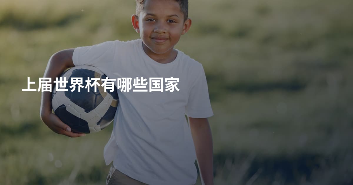 上届世界杯有哪些国家