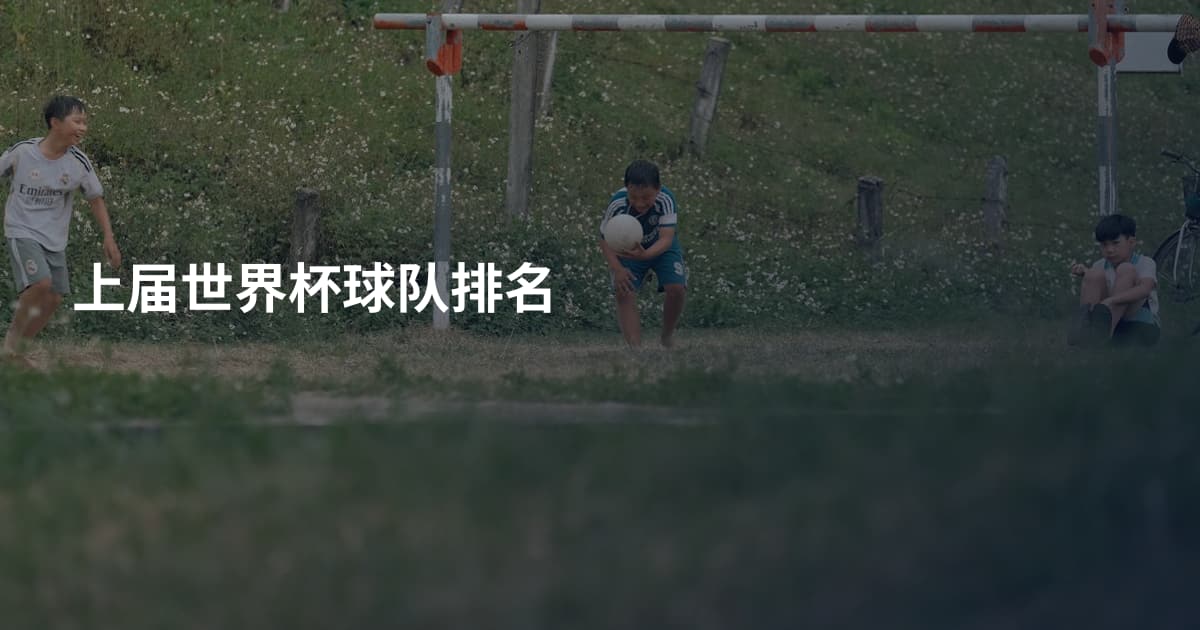上届世界杯球队排名