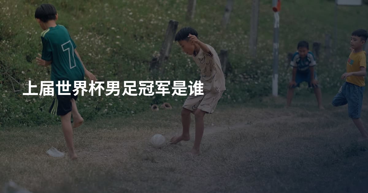 上届世界杯男足冠军是谁