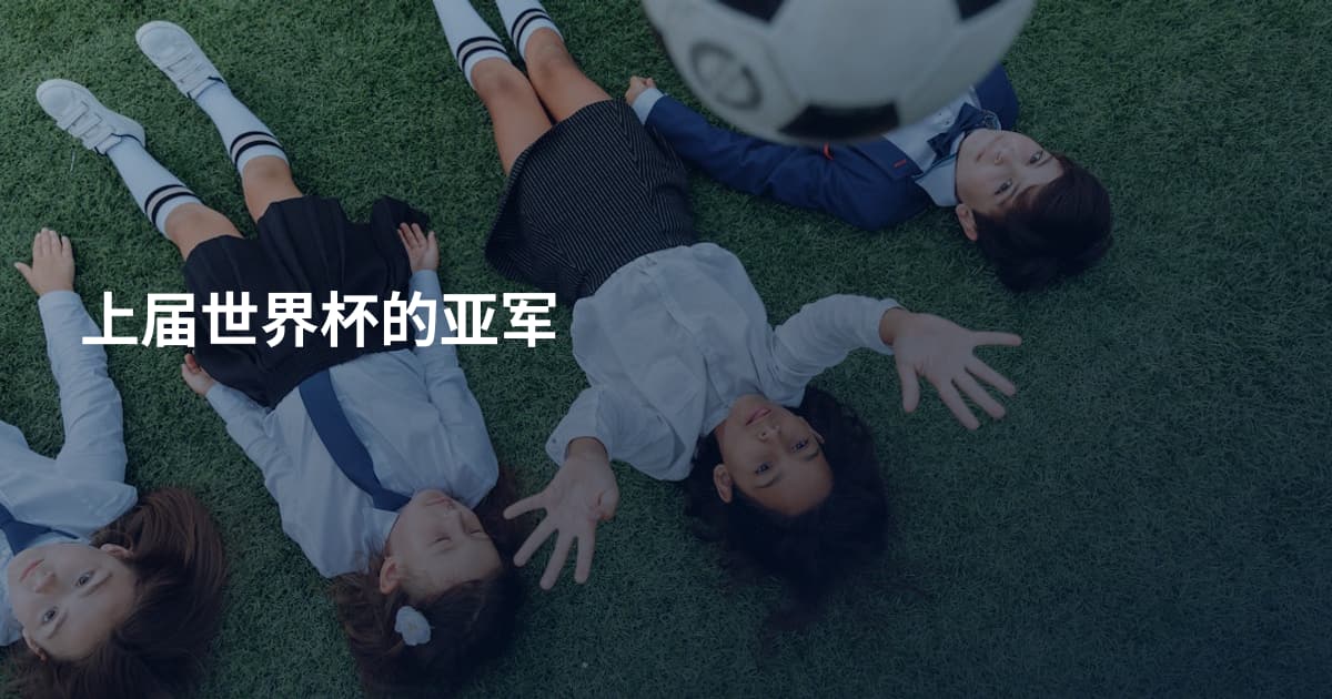 上届世界杯的亚军