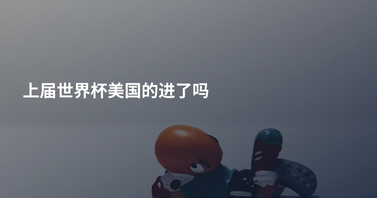 上届世界杯美国的进了吗