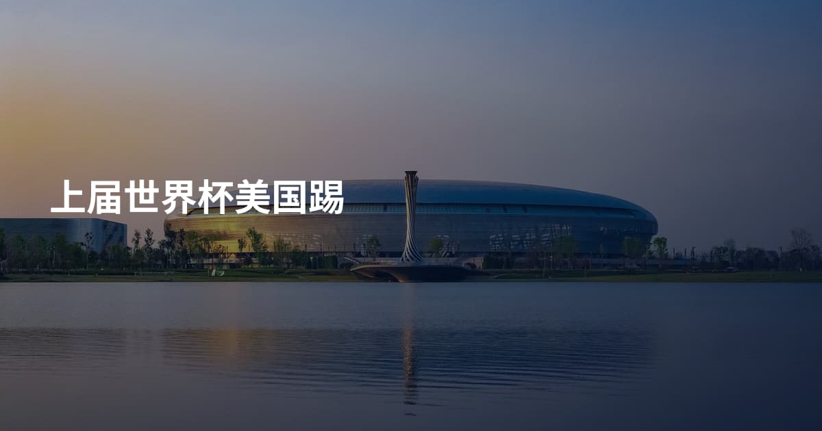 上届世界杯美国踢