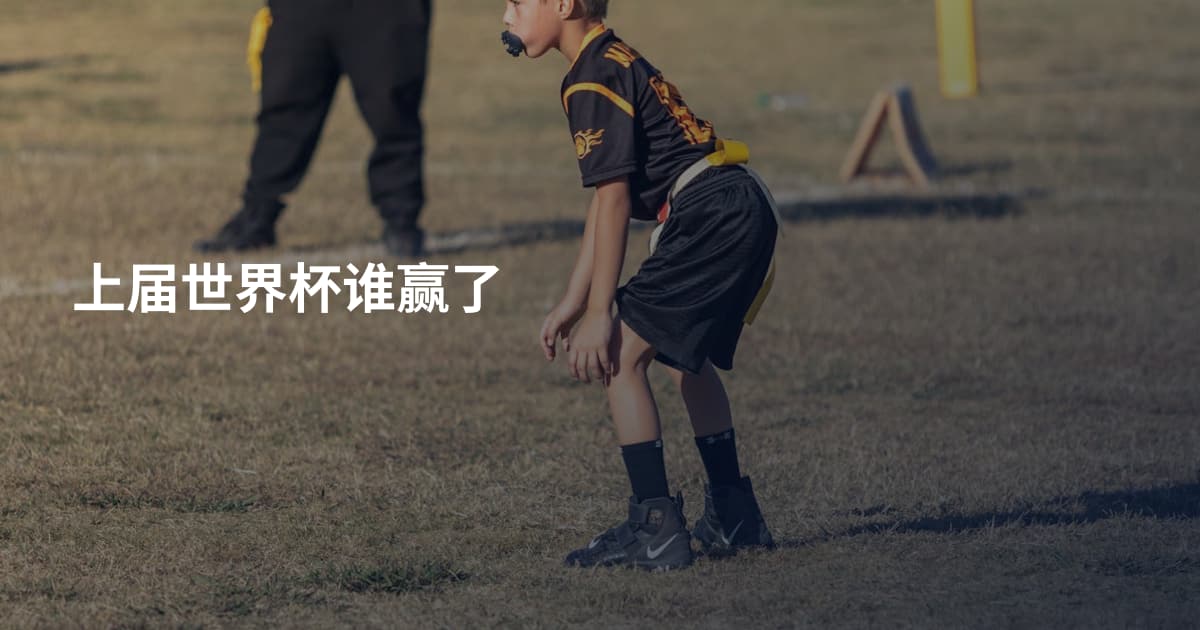 上届世界杯谁赢了
