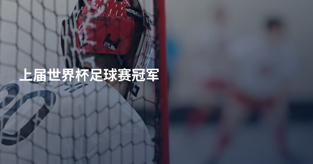 上届世界杯足球赛冠军
