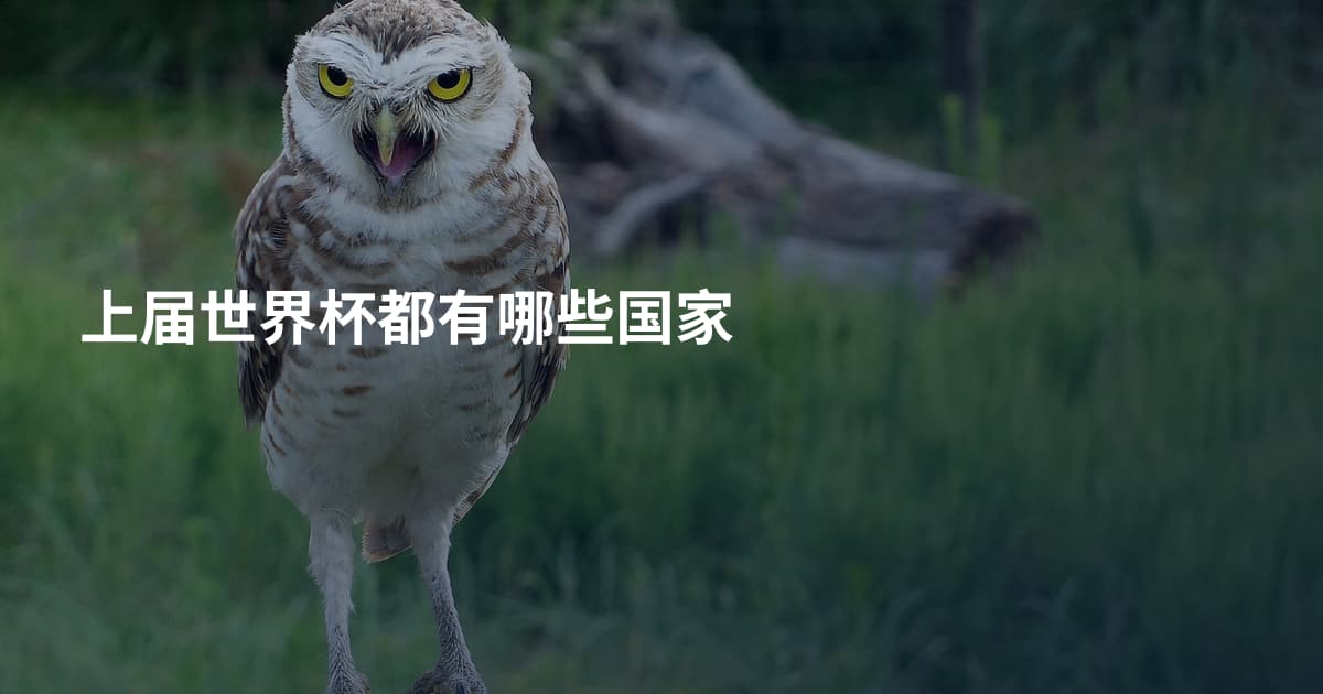 上届世界杯都有哪些国家