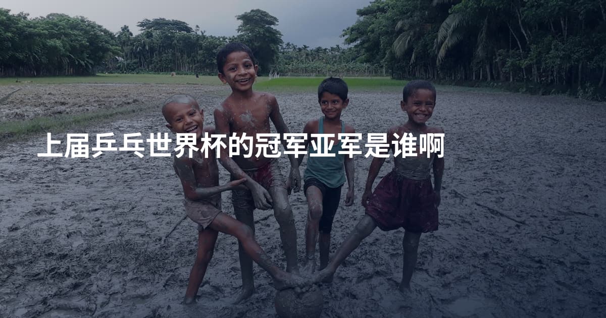 上届乒乓世界杯的冠军亚军是谁啊