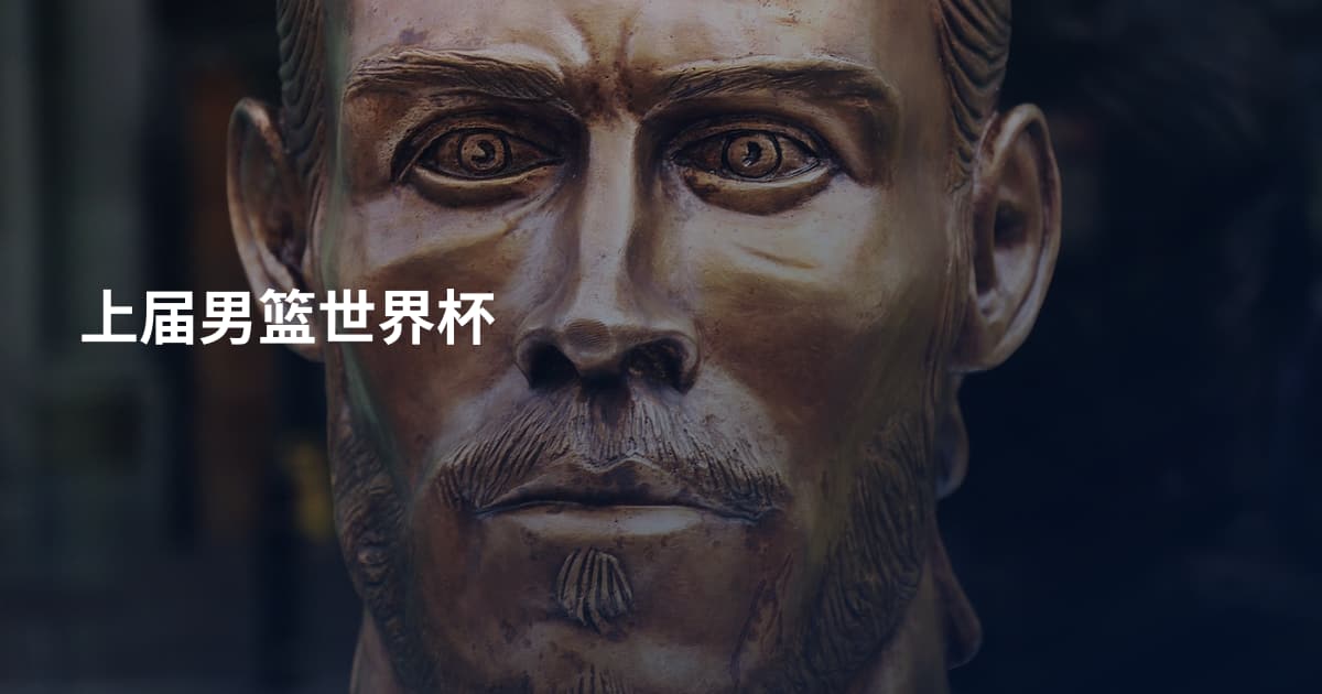 上届男篮世界杯