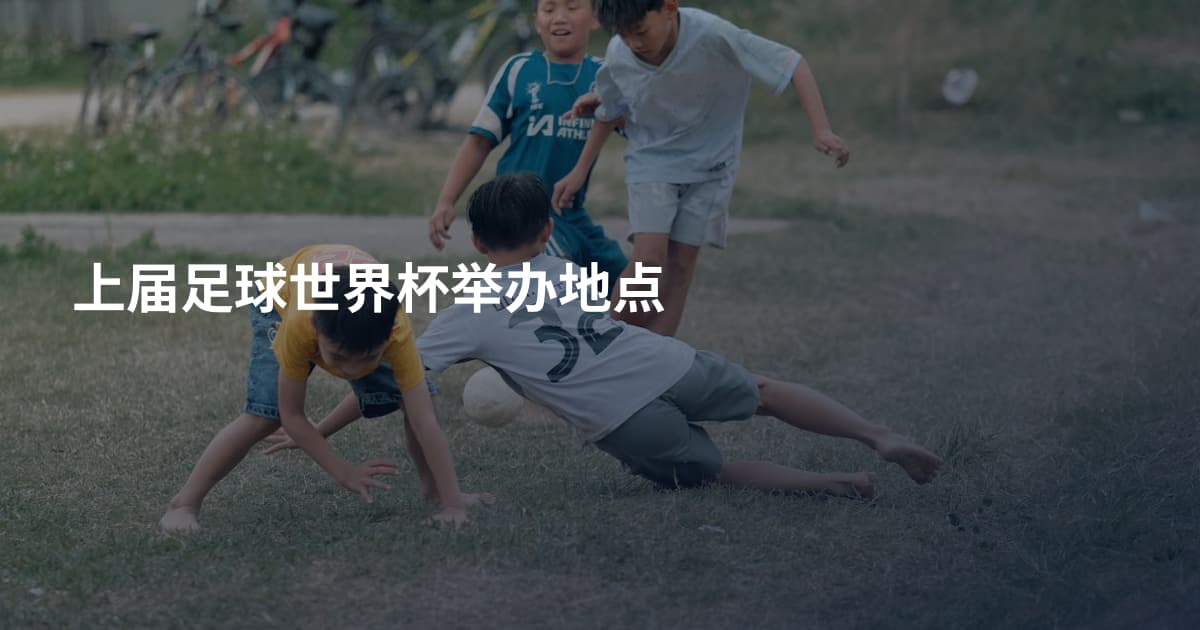 上届足球世界杯举办地点