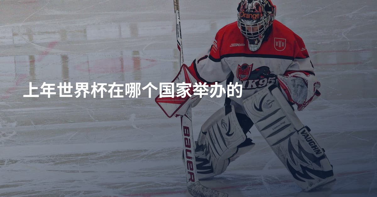 上年世界杯在哪个国家举办的