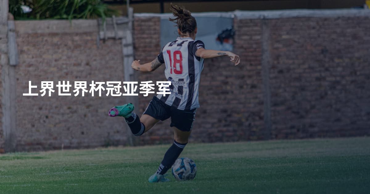 上界世界杯冠亚季军