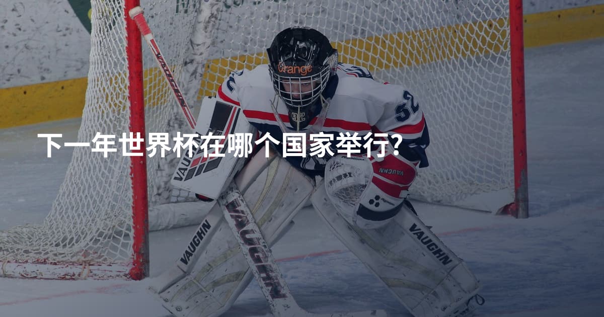 下一年世界杯在哪个国家举行?