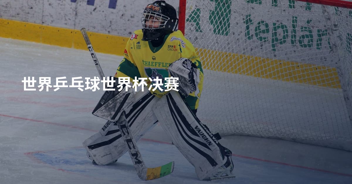 世界乒乓球世界杯决赛