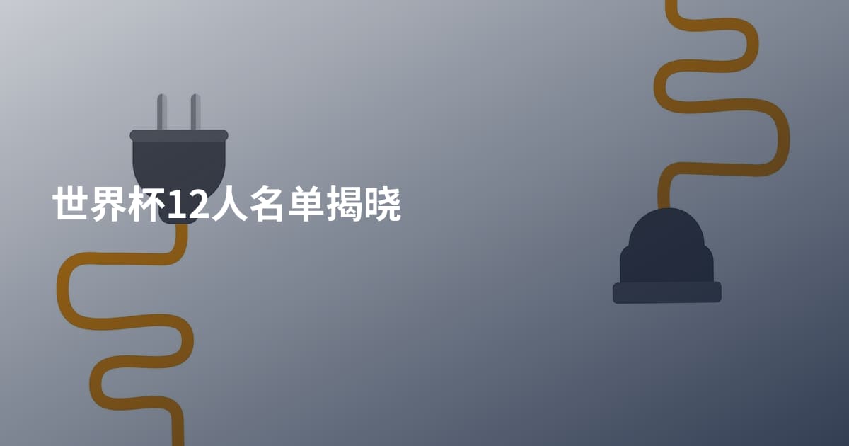 世界杯12人名单揭晓