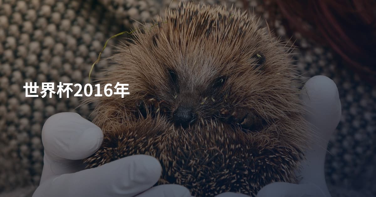 世界杯2016年